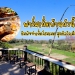 “ฟาร์มเห็ดบ้านหัวน้ำ”-ชิมพิซซ่าเห็ดโฮมเมด-สุดชิลวิวเมืองปัว
