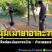 ชายวัย31ปีคลั่งยานรก-ไล่พ่อแม่ออกจากบ้าน-ทำลายของเพื่อนบ้านยับ